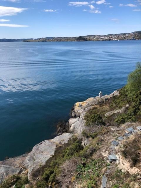 Koselig Nyoppusset 3 Roms Leilighet Med Egen Parkeringsplass I Rolige Omgivelse Naer Sjoen, 2 Mil Nord For Bergen Sentrum. Exteriör bild